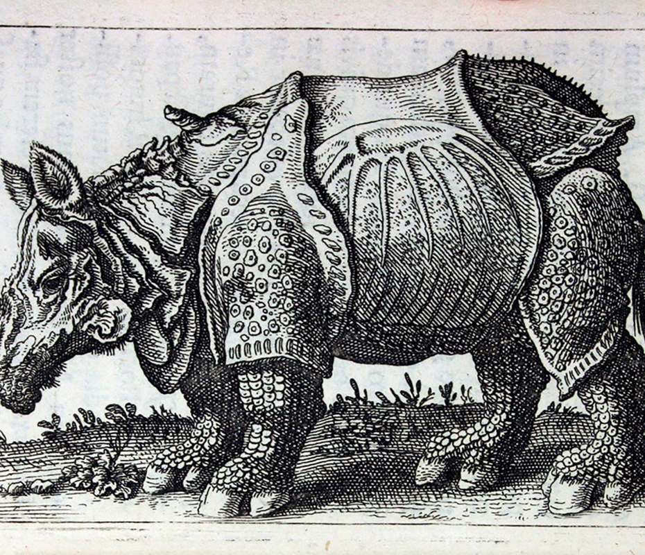 Unicorno obervationes novae Huis van het boek